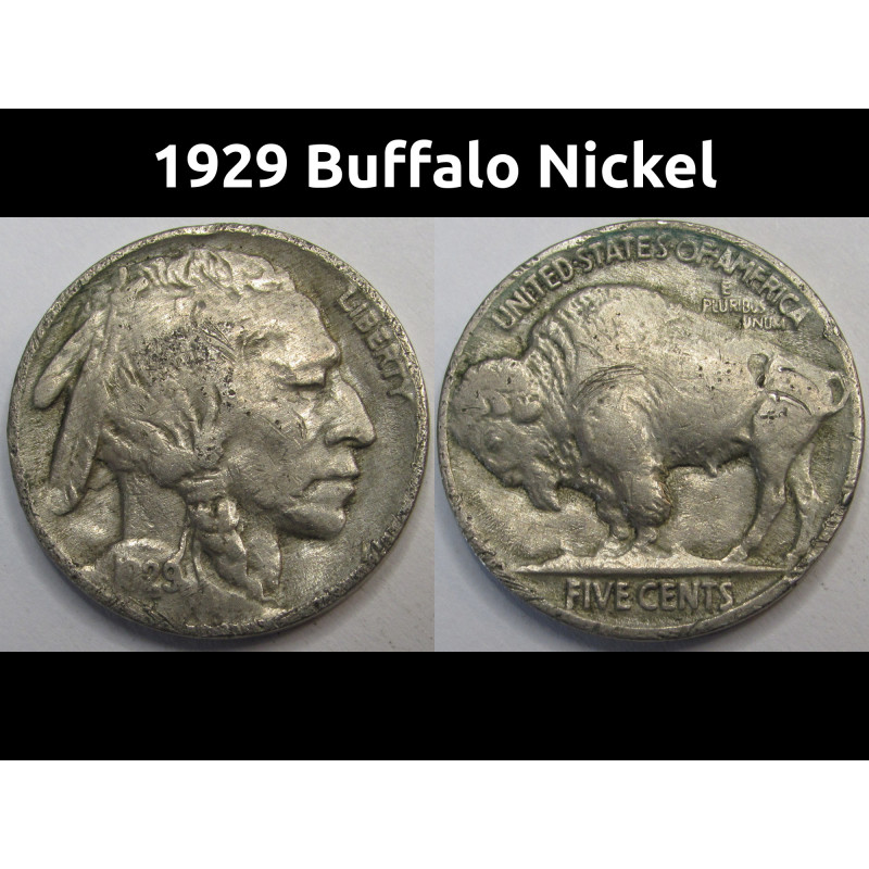 1929 Buffalo Nickel - antique detailed American Indian coin