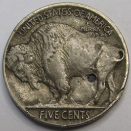 1919 Buffalo Nickel - interesting well detailed full horn Indian Head nickel