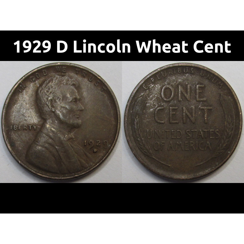 1929 D Lincoln Wheat Cent - antique Denver mintmark American wheat penny coin