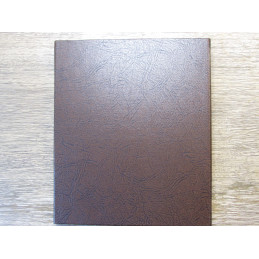 Dansco coin album for Two Cent pieces and Three Cent nickels - vintage coin supply