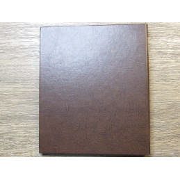 Dansco Album for Two Cent Pieces and Nickel Three Cent Pieces - vintage coin storage