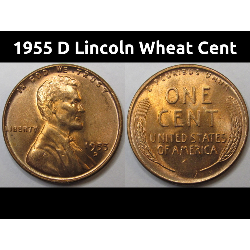 1955 D Lincoln Wheat Cent - uncirculated American wheat penny coin