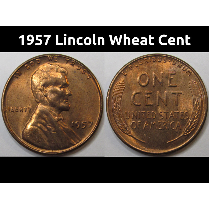 1957 Lincoln Wheat Cent - vintage unrciculated American wheat penny 1957 Lincoln Wheat Cent - vintage unrciculated American wheat penny