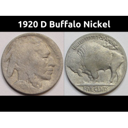 1920 D Buffalo Nickel - antique Denver mintmark bison nickel