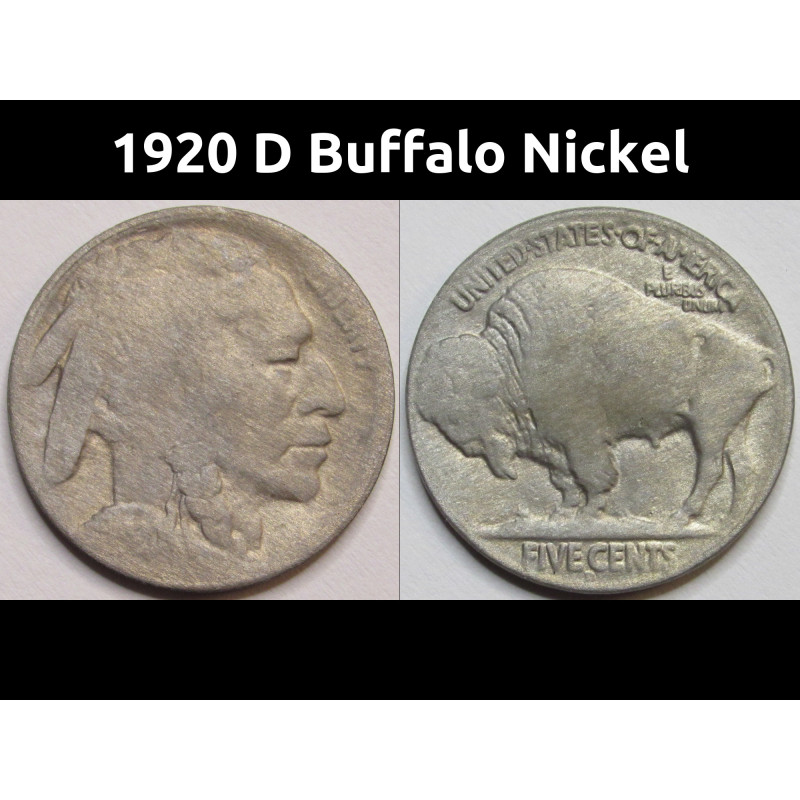 1920 D Buffalo Nickel - antique Denver mintmark bison nickel 1920 D Buffalo Nickel - antique Denver mintmark bison nickel