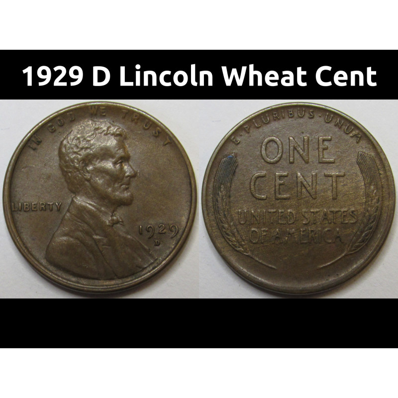 1929 D Lincoln Wheat Cent - antique higher grade American wheat penny 1929 D Lincoln Wheat Cent - antique higher grade American wheat penny