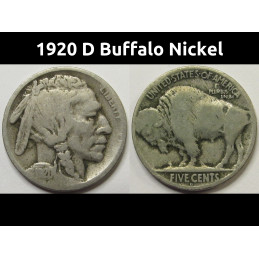 1920 D Buffalo Nickel - antique Denver mintmark American Indian coin