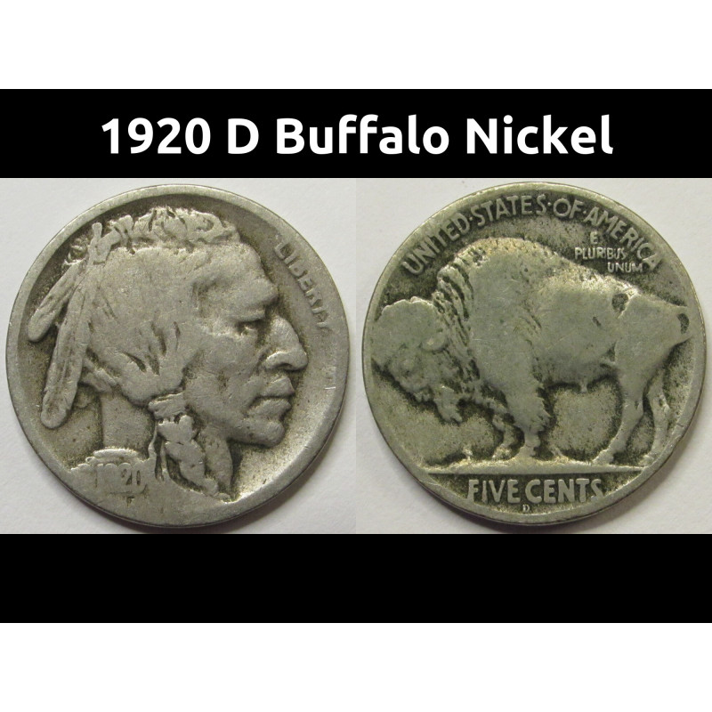 1920 D Buffalo Nickel - antique Denver mintmark American Indian coin 1920 D Buffalo Nickel - antique Denver mintmark American Indian coin
