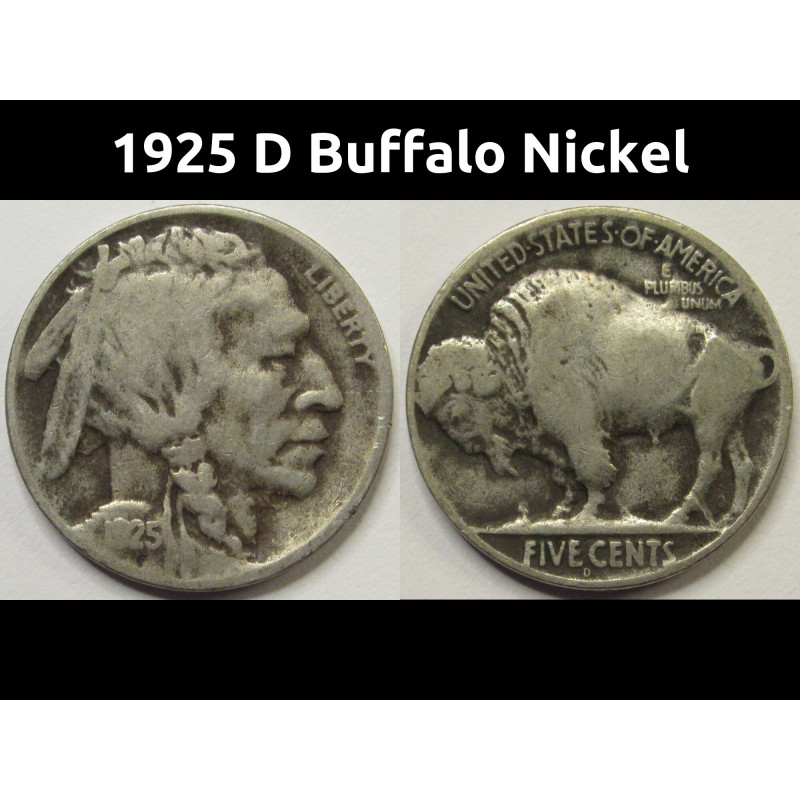 1925 D Buffalo Nickel - antique Denver mintmark American Indian coin 1925 D Buffalo Nickel - antique Denver mintmark American Indian coin