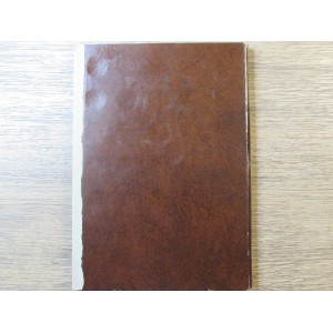 Dansco folder for Nickels - Buffalo and Jefferson type - vintage supply