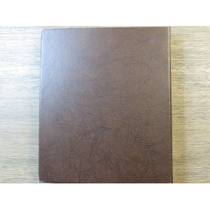 Dansco album for Washington State Quarters - P+D - 1999 - 2008