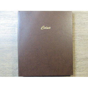 Dansco coin album with platic protective pages - DIY build your own album