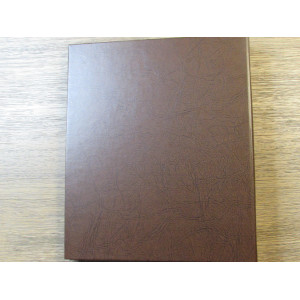 Dansco coin album with platic protective pages - DIY build your own album