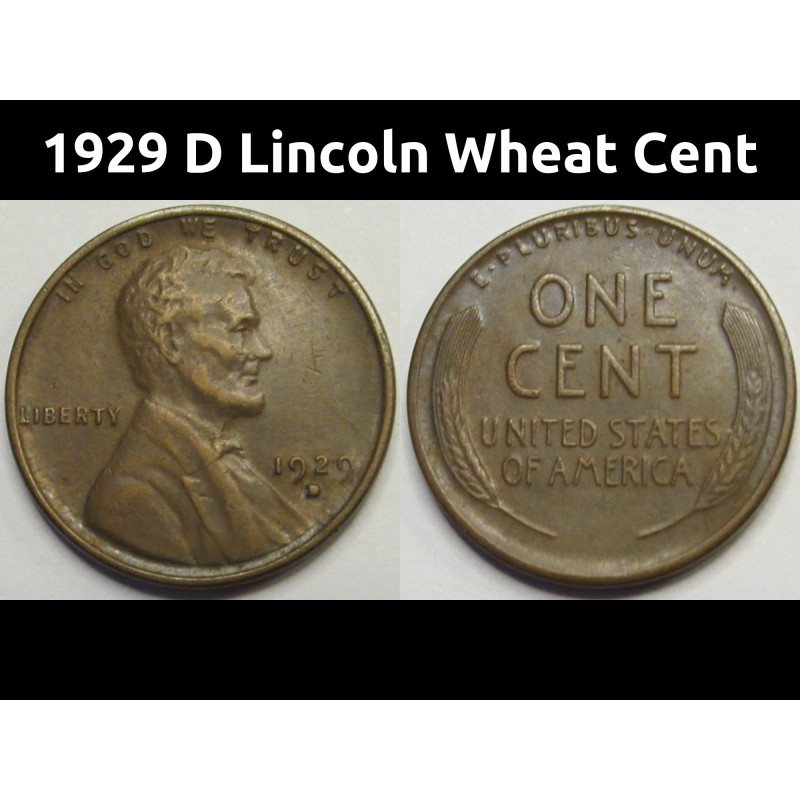 1929 D Lincoln Wheat Cent - antique Denver mintmark American wheat penny coin