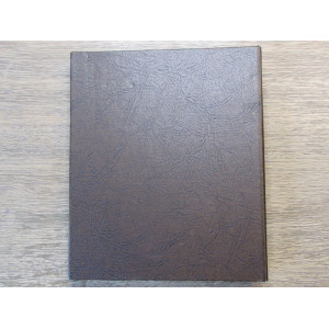 Dansco album for silver dollars - 4 pages - vintage album