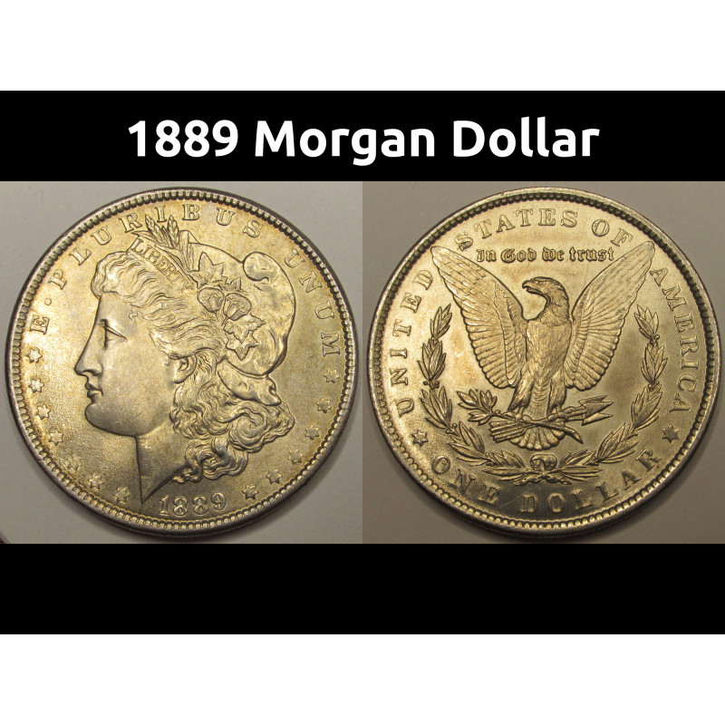 1889 Morgan Dollar - toned uncirculated antique silver dollar coin