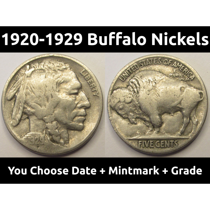 Buffalo Nickels - 1920 to 1929 PDS - choose date / mintmark / grade - 1920, 1921, 1923, 1924, 1925, 1926, 1927, 1928, 1929