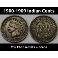 You Pick Indian Cents 1890-1909
